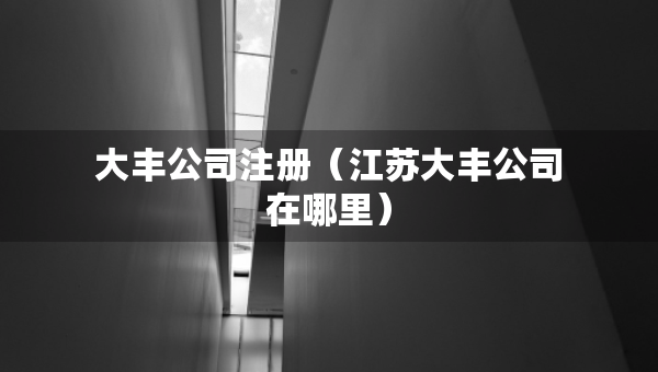 大豐公司注冊(cè)（江蘇大豐公司在哪里）