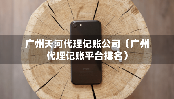 廣州天河代理記賬公司（廣州代理記賬平臺排名）