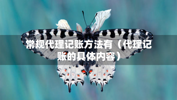 常規(guī)代理記賬方法有（代理記賬的具體內(nèi)容）
