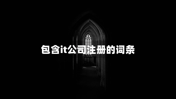 包含it公司注冊的詞條