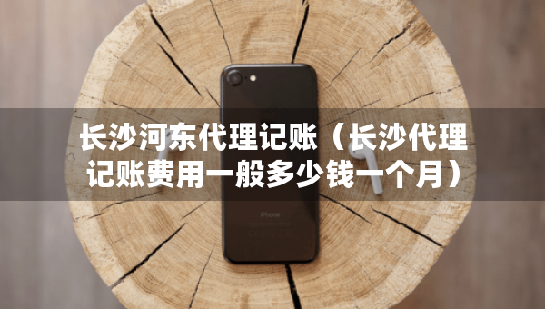 長沙河?xùn)|代理記賬（長沙代理記賬費(fèi)用一般多少錢一個月）