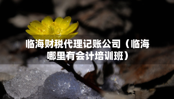 臨海財稅代理記賬公司（臨海哪里有會計培訓(xùn)班）