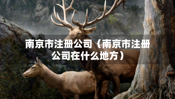 南京市注冊(cè)公司（南京市注冊(cè)公司在什么地方）