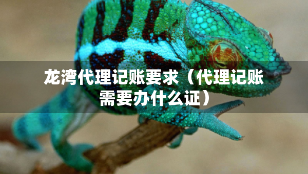 龍灣代理記賬要求（代理記賬需要辦什么證）