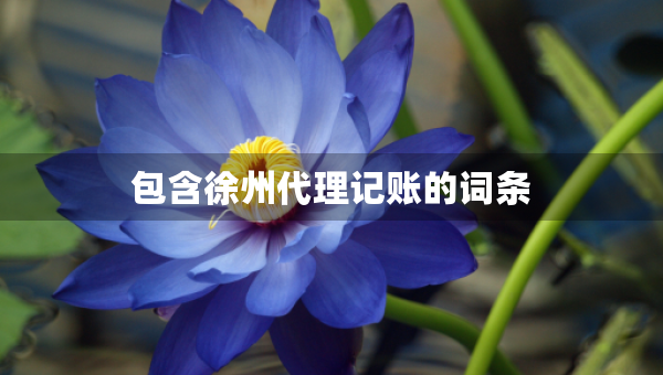 包含徐州代理記賬的詞條