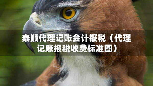 泰順代理記賬會(huì)計(jì)報(bào)稅（代理記賬報(bào)稅收費(fèi)標(biāo)準(zhǔn)圖）