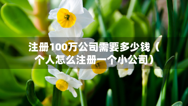 注冊(cè)100萬(wàn)公司需要多少錢（個(gè)人怎么注冊(cè)一個(gè)小公司）