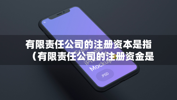 有限責(zé)任公司的注冊(cè)資本是指（有限責(zé)任公司的注冊(cè)資金是什么意思）