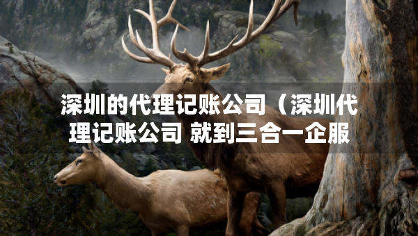 深圳的代理記賬公司（深圳代理記賬公司 就到三合一企服）