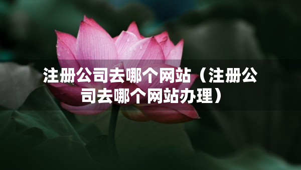 注冊公司去哪個網(wǎng)站（注冊公司去哪個網(wǎng)站辦理）