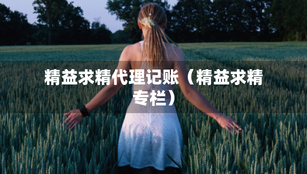 精益求精代理記賬（精益求精專欄）
