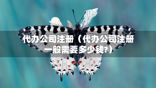 代辦公司注冊（代辦公司注冊一般需要多少錢?）
