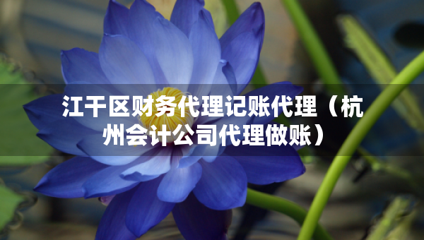 江干區(qū)財(cái)務(wù)代理記賬代理（杭州會(huì)計(jì)公司代理做賬）