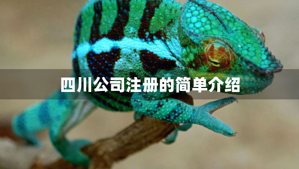 四川公司注冊的簡單介紹
