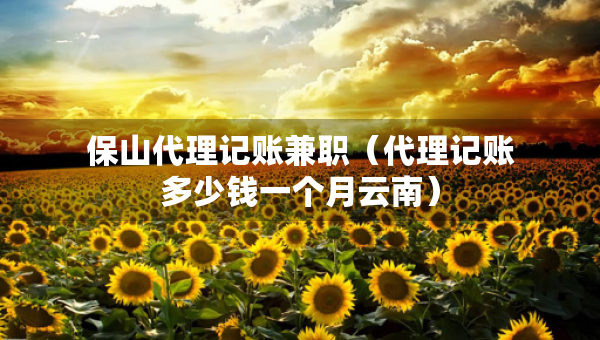 保山代理記賬兼職（代理記賬多少錢一個月云南）