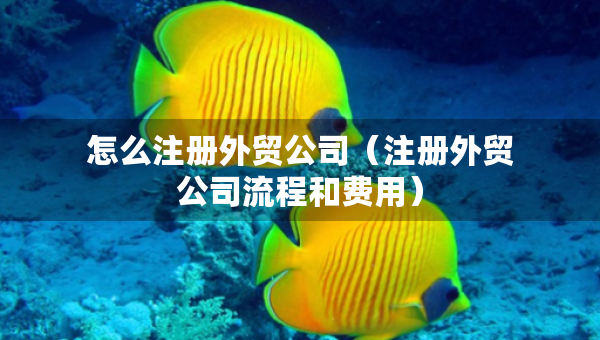怎么注冊(cè)外貿(mào)公司（注冊(cè)外貿(mào)公司流程和費(fèi)用）