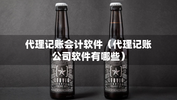 代理記賬會(huì)計(jì)軟件（代理記賬公司軟件有哪些）