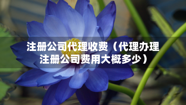 注冊(cè)公司代理收費(fèi)（代理辦理注冊(cè)公司費(fèi)用大概多少）