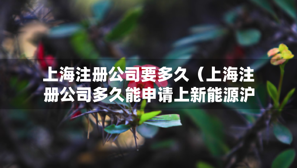 上海注冊(cè)公司要多久（上海注冊(cè)公司多久能申請(qǐng)上新能源滬牌嗎）