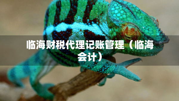 臨海財(cái)稅代理記賬管理（臨海會(huì)計(jì)）