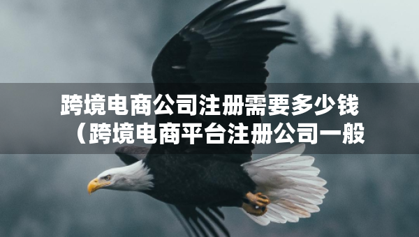 跨境電商公司注冊(cè)需要多少錢（跨境電商平臺(tái)注冊(cè)公司一般會(huì)叫什么）