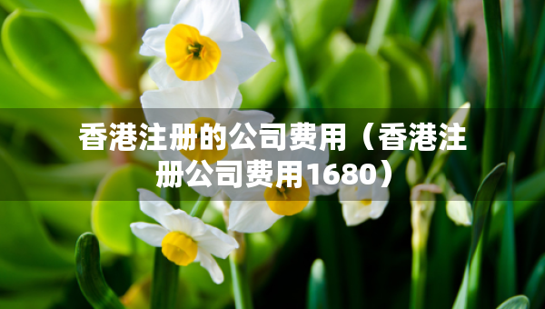 香港注冊的公司費(fèi)用（香港注冊公司費(fèi)用1680）