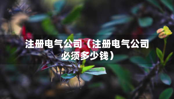 注冊電氣公司（注冊電氣公司必須多少錢）