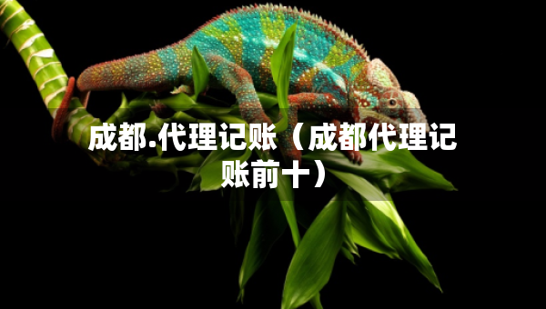 成都.代理記賬（成都代理記賬前十）