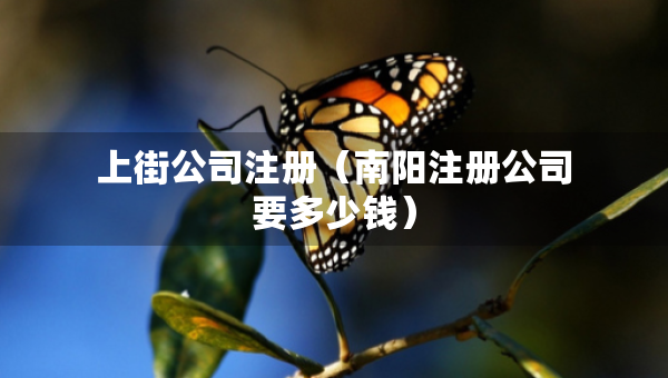 上街公司注冊（南陽注冊公司要多少錢）
