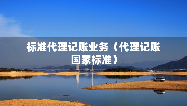 標(biāo)準(zhǔn)代理記賬業(yè)務(wù)（代理記賬國家標(biāo)準(zhǔn)）