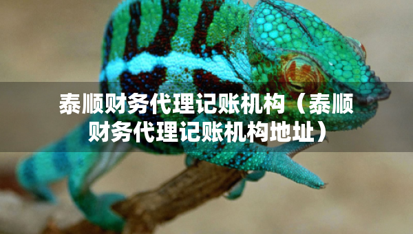 泰順財務代理記賬機構（泰順財務代理記賬機構地址）