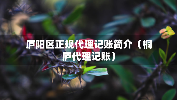 廬陽區(qū)正規(guī)代理記賬簡介（桐廬代理記賬）