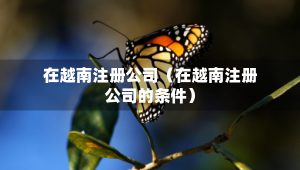 在越南注冊(cè)公司（在越南注冊(cè)公司的條件）