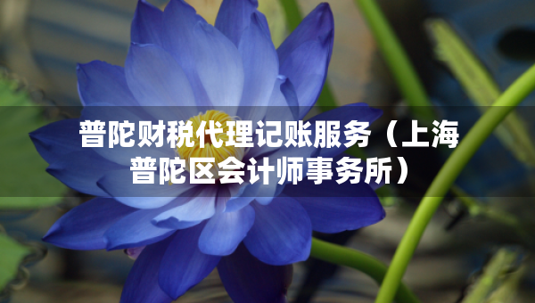 普陀財(cái)稅代理記賬服務(wù)（上海普陀區(qū)會(huì)計(jì)師事務(wù)所）