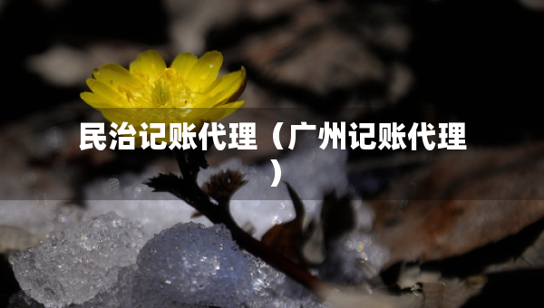民治記賬代理（廣州記賬代理）