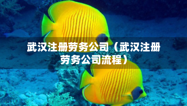 武漢注冊(cè)勞務(wù)公司（武漢注冊(cè)勞務(wù)公司流程）