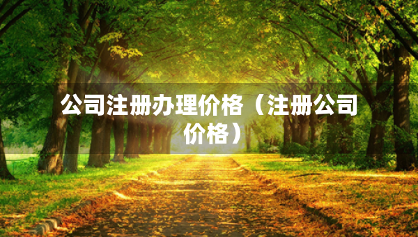 公司注冊辦理價格（注冊公司 價格）