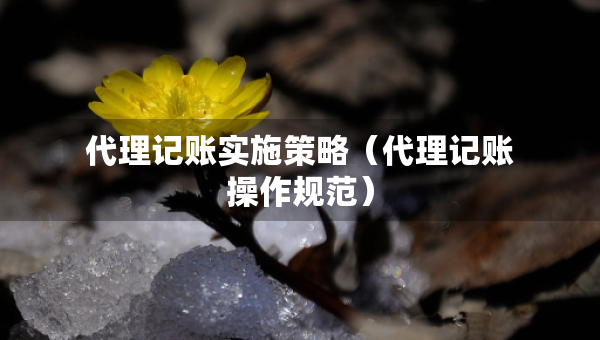代理記賬實(shí)施策略（代理記賬操作規(guī)范）