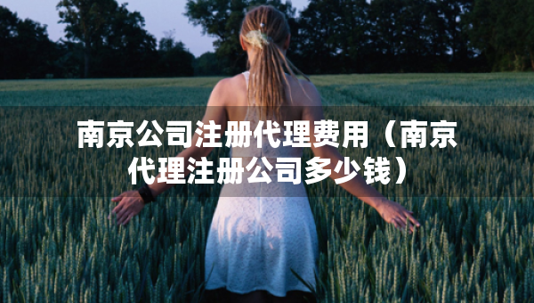 南京公司注冊(cè)代理費(fèi)用（南京代理注冊(cè)公司多少錢(qián)）