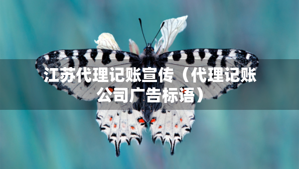 江蘇代理記賬宣傳（代理記賬公司廣告標(biāo)語）