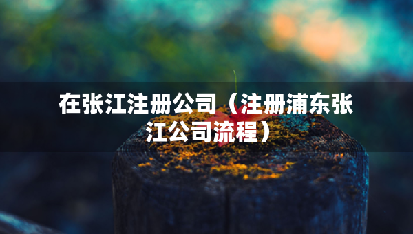 在張江注冊(cè)公司（注冊(cè)浦東張江公司流程）