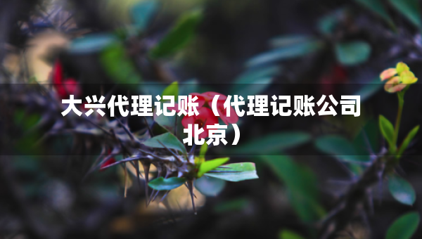 大興代理記賬（代理記賬公司北京）