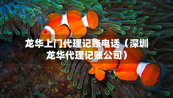 龍華上門(mén)代理記賬電話（深圳龍華代理記賬公司）