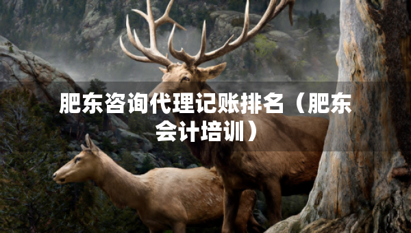 肥東咨詢代理記賬排名（肥東會計培訓(xùn)）