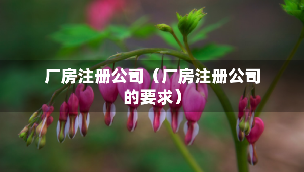 廠房注冊公司（廠房注冊公司的要求）