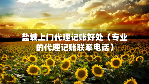 鹽城上門代理記賬好處（專業(yè)的代理記賬聯(lián)系電話）