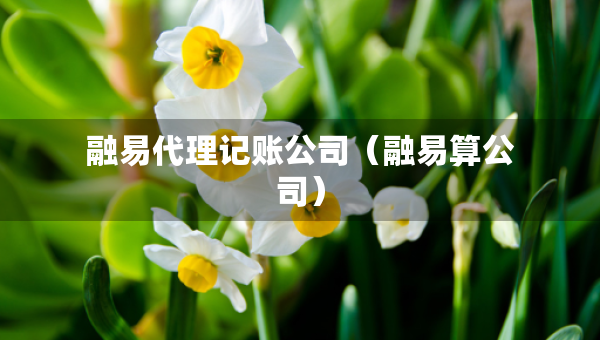 融易代理記賬公司（融易算公司）