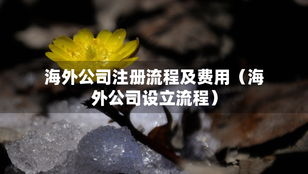 海外公司注冊流程及費用（海外公司設(shè)立流程）