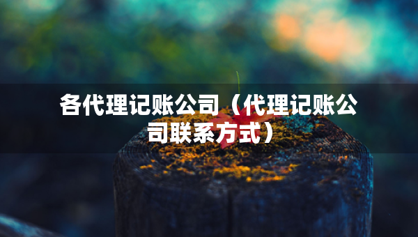 各代理記賬公司（代理記賬公司聯(lián)系方式）