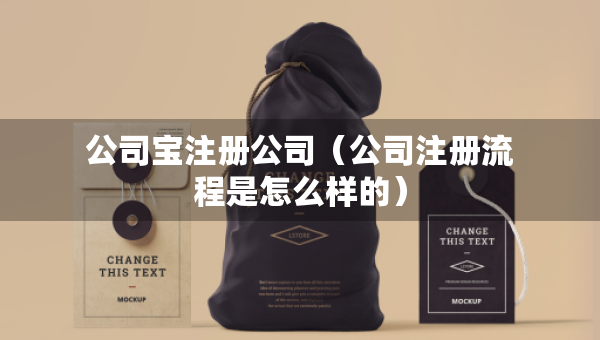 公司寶注冊公司（公司注冊流程是怎么樣的）